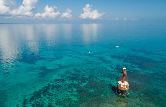 coral reef