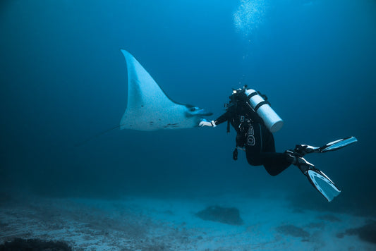 8 Celebrity Scuba Divers and Ocean Conservation Supporters