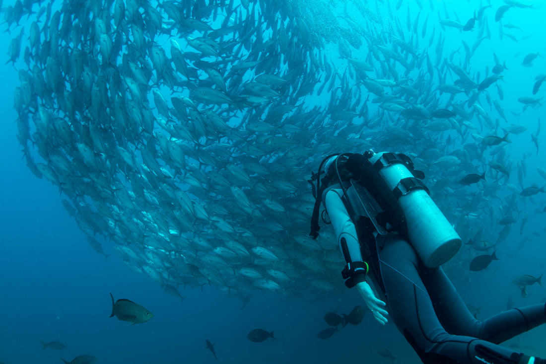 The Physical and Mental Health Benefits of Scuba Diving