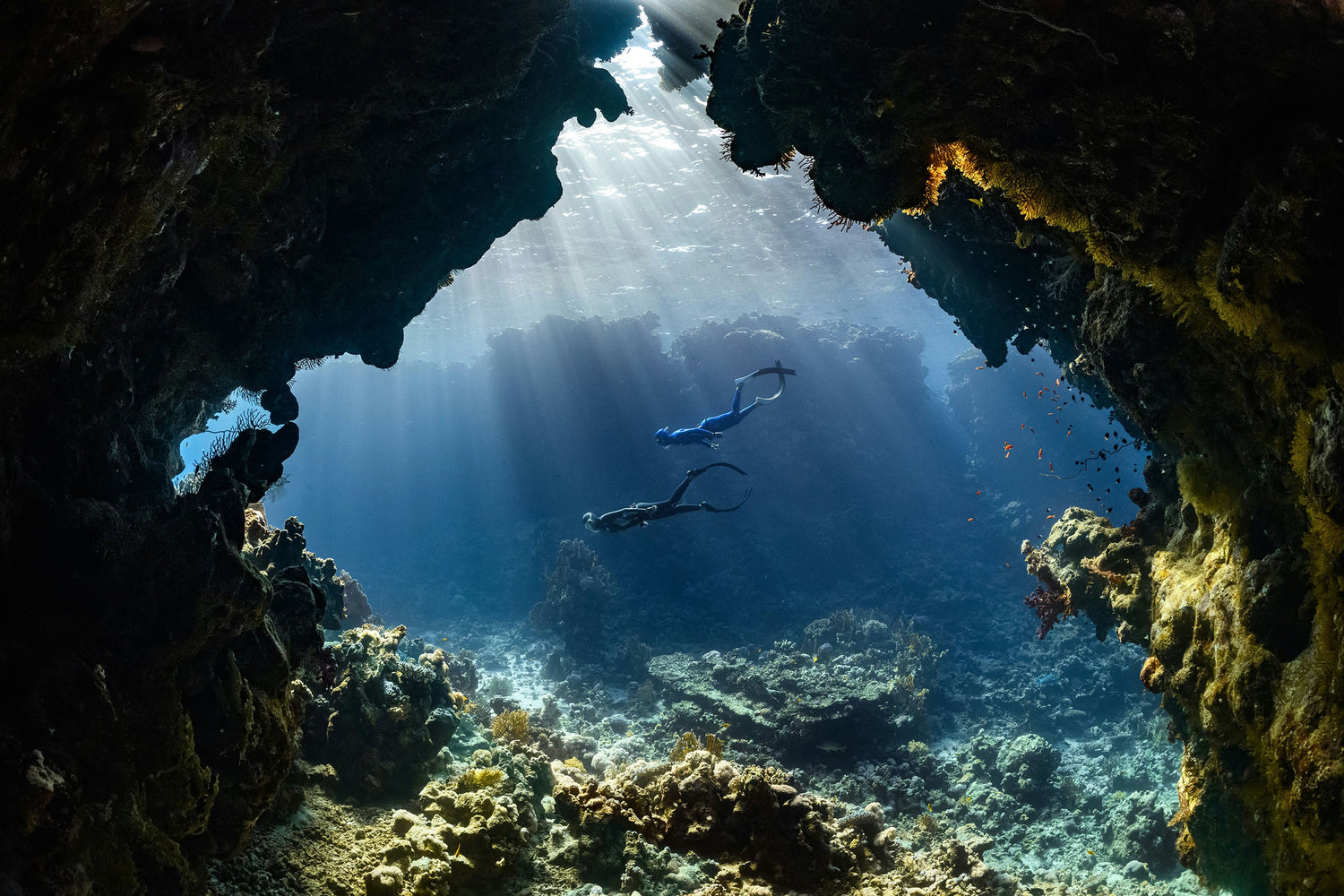 UNDERWATER ADVENTURE COLLECTION