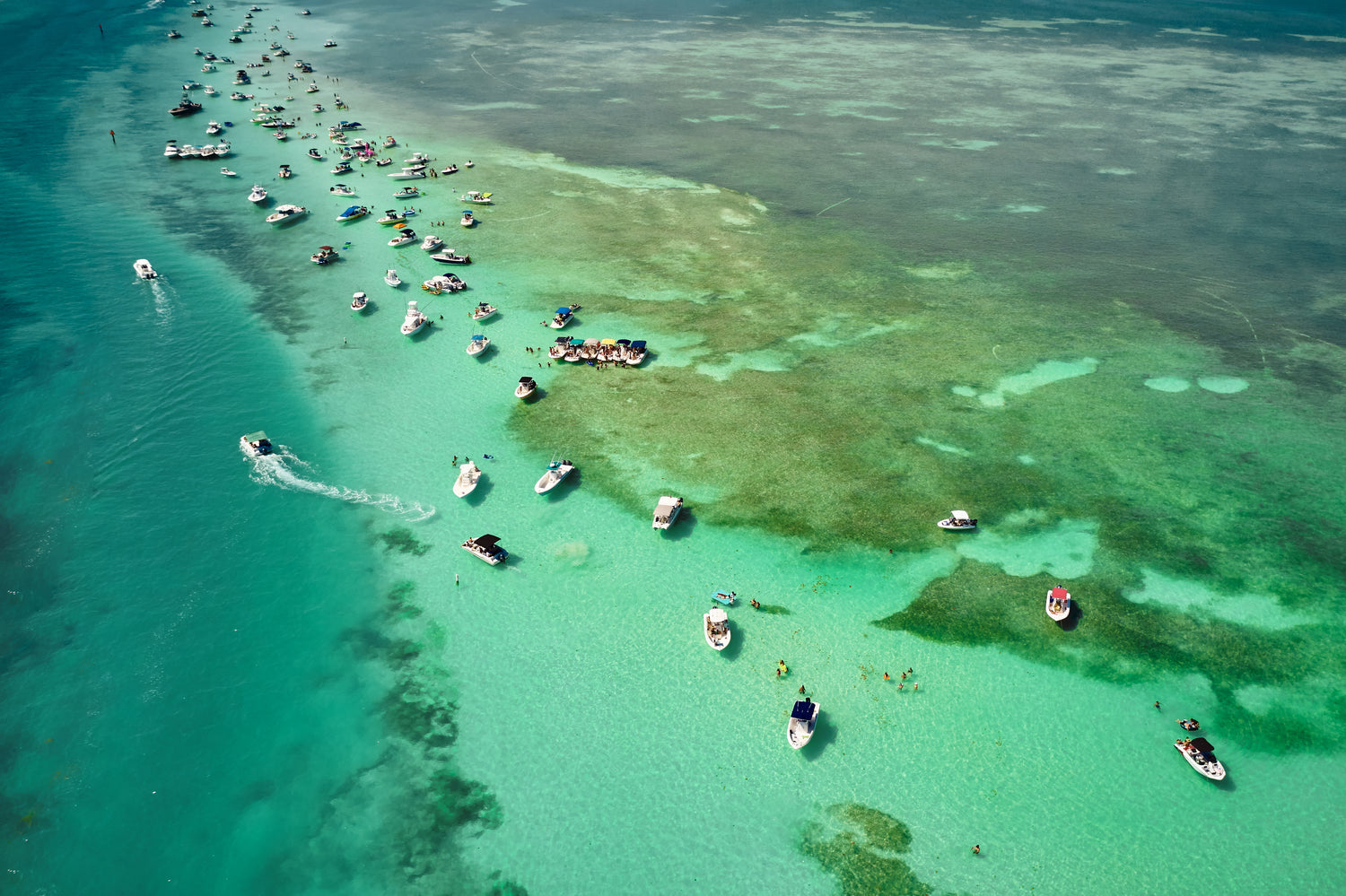 overhead shot of boats in turquoise water congregation along the reef
