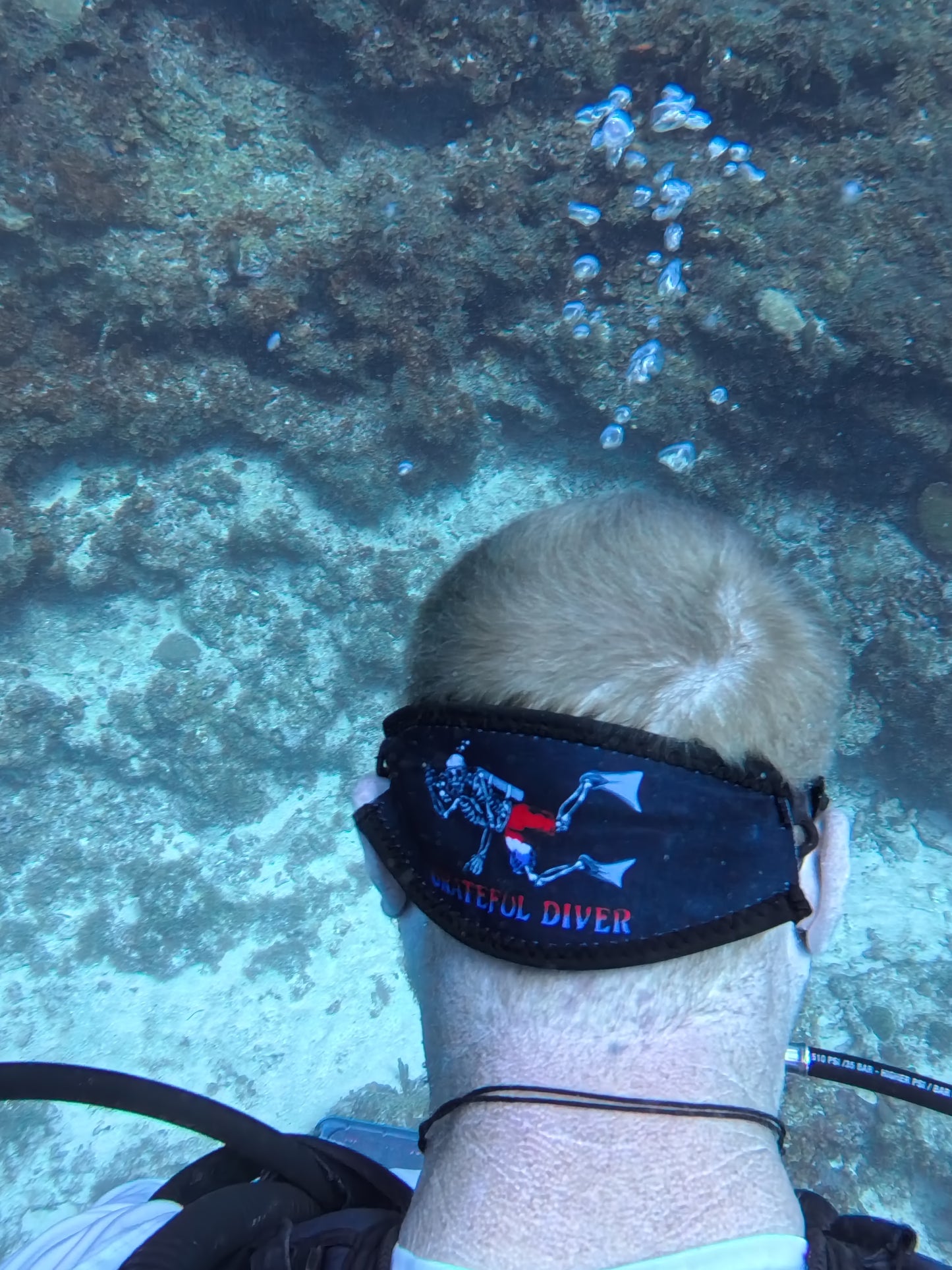 Grateful Diver Reversible Mask Strap Cover
