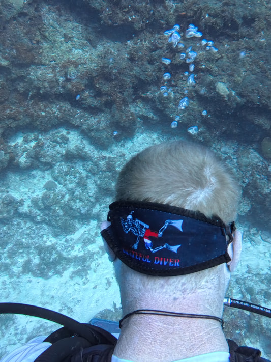 Grateful Diver Mask Strap Cover