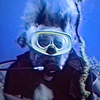 Jerry Garcia of the Grateful Dead scuba diving underwater