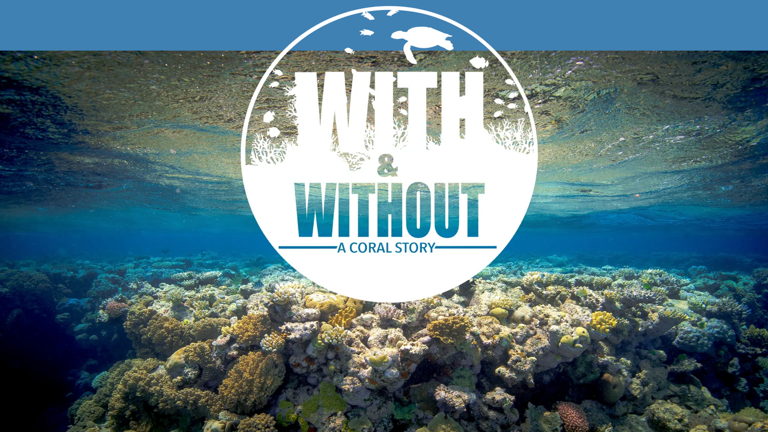 VIDMYLIFE "With & Without A Coral Story" documentary logo